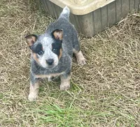 processed/358ec7c2-507a-4400-84ed-6a8e5f7c2054/listing/f347409a-557a-4af6-919a-d152edf9552b/48c88d26-030a-4627-8e3b-14bf90b68852