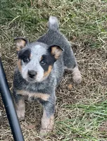 processed/358ec7c2-507a-4400-84ed-6a8e5f7c2054/listing/f347409a-557a-4af6-919a-d152edf9552b/74695297-c4f2-4f8c-a7ab-5585745db99c