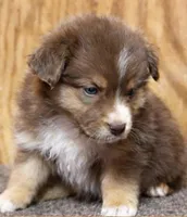 processed/359d6f5f-8334-46a8-9f65-905b487a9bee/listing/b575d06e-d731-42de-9974-37f3d896ac5a/02fb7424-c940-451f-80bf-4859b4d5bc7f