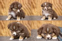 processed/359d6f5f-8334-46a8-9f65-905b487a9bee/listing/b575d06e-d731-42de-9974-37f3d896ac5a/d2e8c974-52be-4479-9400-0410092c9795