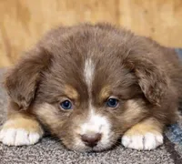 processed/359d6f5f-8334-46a8-9f65-905b487a9bee/listing/b575d06e-d731-42de-9974-37f3d896ac5a/f3438674-7392-44f6-b4b5-252f6b45716b