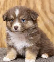 processed/359d6f5f-8334-46a8-9f65-905b487a9bee/listing/b575d06e-d731-42de-9974-37f3d896ac5a/f9fbdaa7-653e-40fa-8ea6-f77364b12f02