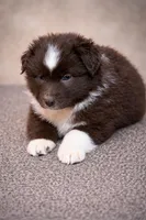 processed/359d6f5f-8334-46a8-9f65-905b487a9bee/listing/bfd63d0b-9fe4-464a-ab73-7e7e3b0d8294/7145f0cd-bf31-41b6-a497-860b38fa68fc