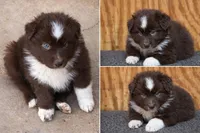 processed/359d6f5f-8334-46a8-9f65-905b487a9bee/listing/bfd63d0b-9fe4-464a-ab73-7e7e3b0d8294/92b3574a-241b-4649-ba7b-d2c0b5e066f1