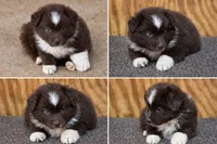 processed/359d6f5f-8334-46a8-9f65-905b487a9bee/listing/bfd63d0b-9fe4-464a-ab73-7e7e3b0d8294/bdaa8481-f6b2-4184-9412-d3bb6a9e05c7