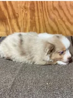 processed/359d6f5f-8334-46a8-9f65-905b487a9bee/listing/dfa704da-34ab-4fe2-a184-0557b834bf48/5a85b50a-ff90-49e0-a046-fe1ac2d2667a