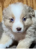 processed/359d6f5f-8334-46a8-9f65-905b487a9bee/listing/dfa704da-34ab-4fe2-a184-0557b834bf48/d40d664e-a6f5-45c5-8af0-e2d7dc3205be