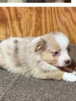 processed/359d6f5f-8334-46a8-9f65-905b487a9bee/listing/dfa704da-34ab-4fe2-a184-0557b834bf48/e3d0d7ca-266d-4cfa-96d9-c46160796f0f