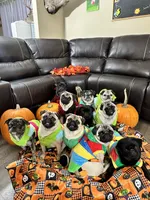 processed/35b5bb9c-bce6-42df-be9b-9e00b321656a/facility/18462c7d-cd6f-416a-b864-4fb093b8a6e1