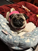 processed/35b5bb9c-bce6-42df-be9b-9e00b321656a/facility/2fe42570-07bf-4d7b-afec-ed95ba7c91e2