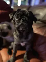 processed/35b5bb9c-bce6-42df-be9b-9e00b321656a/facility/4ddcf01a-f1d8-432c-9435-1a19ff258ba0