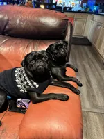 processed/35b5bb9c-bce6-42df-be9b-9e00b321656a/facility/61f0d0d5-93eb-4fef-ac27-93214327578d