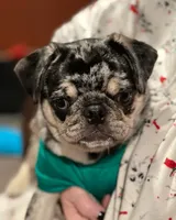 processed/35b5bb9c-bce6-42df-be9b-9e00b321656a/facility/6bd6ab06-e211-4abd-abb3-7ce897a322ad