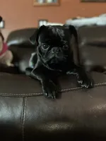 processed/35b5bb9c-bce6-42df-be9b-9e00b321656a/facility/9660eb1b-4955-4216-a6e7-7bc705bb1c3a