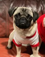 processed/35b5bb9c-bce6-42df-be9b-9e00b321656a/facility/9cb9481a-8d02-4e30-9472-b7fd484ca6af