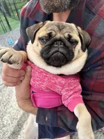 processed/35b5bb9c-bce6-42df-be9b-9e00b321656a/facility/b3e436aa-7ce3-4172-a79a-a8be2ecec83f