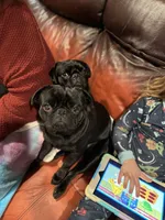 processed/35b5bb9c-bce6-42df-be9b-9e00b321656a/facility/b54d77ad-8863-4e6a-9535-97af99ae103b