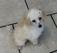 processed/35bd4616-3ad7-485a-add7-02ff7e32c6c1/listing/ab04c852-1bd7-42d9-b38f-027b40a7aa67/3f52a4f5-0be3-40e2-b948-8490bfcc4090