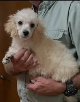 processed/35bd4616-3ad7-485a-add7-02ff7e32c6c1/listing/ab04c852-1bd7-42d9-b38f-027b40a7aa67/5a762867-561f-413a-8e2b-714cf2e8ab14