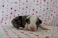 processed/35be54df-213f-433d-8ea8-a6dbd4ad0b95/listing/0527cbbc-d698-4fc3-b435-02d5bd8486c5/1dbf6cd8-f4a6-4c83-9e4d-fde873d68489