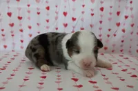 processed/35be54df-213f-433d-8ea8-a6dbd4ad0b95/listing/0527cbbc-d698-4fc3-b435-02d5bd8486c5/29bb2f82-e42d-4b57-bdf4-28e6ae8c69ce