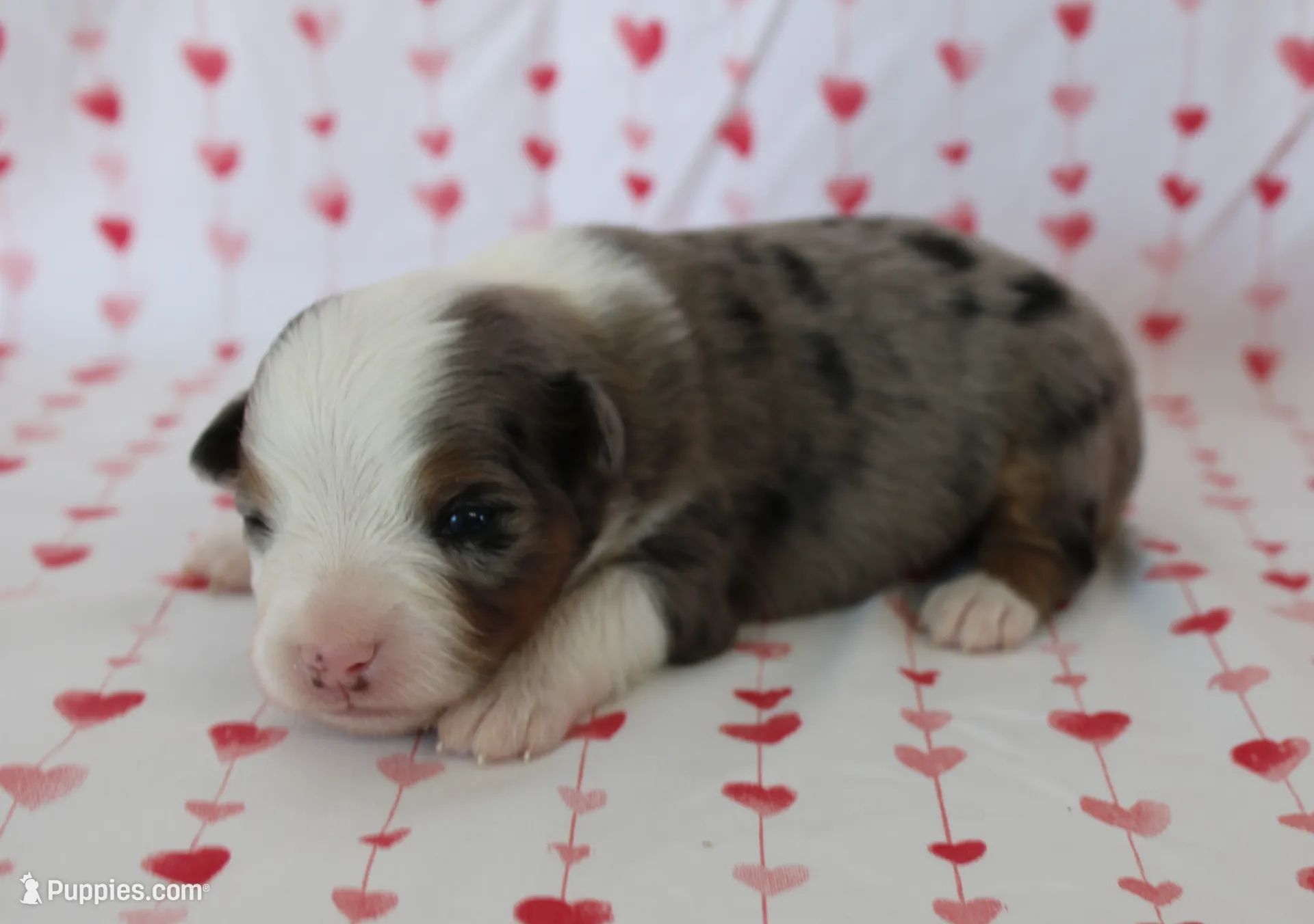 processed/35be54df-213f-433d-8ea8-a6dbd4ad0b95/listing/0527cbbc-d698-4fc3-b435-02d5bd8486c5/3c74368f-6491-41fd-ab20-24fbda110a81