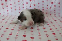 processed/35be54df-213f-433d-8ea8-a6dbd4ad0b95/listing/0527cbbc-d698-4fc3-b435-02d5bd8486c5/43a915ba-2651-4702-9e77-3ce71d91becf