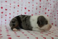 processed/35be54df-213f-433d-8ea8-a6dbd4ad0b95/listing/0527cbbc-d698-4fc3-b435-02d5bd8486c5/d4fee4ec-d4ed-4cbc-ab11-66e165672903