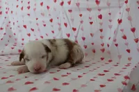 processed/35be54df-213f-433d-8ea8-a6dbd4ad0b95/listing/19147a2e-0e4b-459c-b5e6-19aeabc3314e/08e8233d-14e6-40f1-a69e-b447fb7ed250