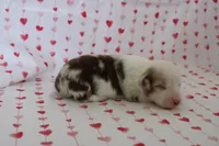 processed/35be54df-213f-433d-8ea8-a6dbd4ad0b95/listing/19147a2e-0e4b-459c-b5e6-19aeabc3314e/14dd8de5-36f1-4bd2-bc62-9310c58b2c37