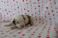 processed/35be54df-213f-433d-8ea8-a6dbd4ad0b95/listing/19147a2e-0e4b-459c-b5e6-19aeabc3314e/9c57974e-2418-43a8-83b2-fb0dd0a5a5a5