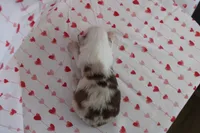 processed/35be54df-213f-433d-8ea8-a6dbd4ad0b95/listing/19147a2e-0e4b-459c-b5e6-19aeabc3314e/feadcd1b-4b9f-4bdd-a209-31f0d1735ac7