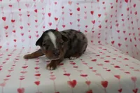 processed/35be54df-213f-433d-8ea8-a6dbd4ad0b95/listing/25114c9a-bae9-4b68-a946-ac3a6fa77765/6db913c7-1650-4e80-869b-76dc32eac581