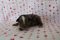 processed/35be54df-213f-433d-8ea8-a6dbd4ad0b95/listing/25114c9a-bae9-4b68-a946-ac3a6fa77765/8bb67df9-7e42-4e92-874b-21b82ccdf4d5