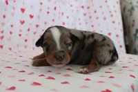 processed/35be54df-213f-433d-8ea8-a6dbd4ad0b95/listing/25114c9a-bae9-4b68-a946-ac3a6fa77765/bb563400-4239-4b31-940c-e5262597f933