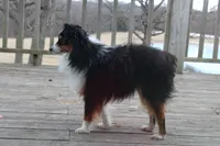 processed/35be54df-213f-433d-8ea8-a6dbd4ad0b95/listing/711f2530-db59-4215-9b28-f033cdf9414c/0a9b25f3-26d2-41fd-9d6b-97d950535596