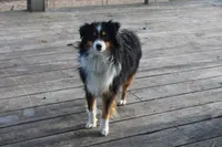 processed/35be54df-213f-433d-8ea8-a6dbd4ad0b95/listing/711f2530-db59-4215-9b28-f033cdf9414c/1f52ef65-2b6a-4d36-af75-956c06abaa48