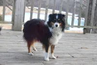 processed/35be54df-213f-433d-8ea8-a6dbd4ad0b95/listing/711f2530-db59-4215-9b28-f033cdf9414c/d4ade7cd-56d3-43f6-8f1f-c7e65d436ea4