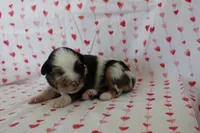 processed/35be54df-213f-433d-8ea8-a6dbd4ad0b95/listing/76238c04-54d2-492b-84a1-4fa699e7bdfa/2f710f5d-891e-458f-8e20-414f38a0a248