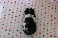 processed/35be54df-213f-433d-8ea8-a6dbd4ad0b95/listing/76238c04-54d2-492b-84a1-4fa699e7bdfa/4bcb3d15-a324-4620-ba98-7be9ea875cba