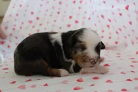 processed/35be54df-213f-433d-8ea8-a6dbd4ad0b95/listing/76238c04-54d2-492b-84a1-4fa699e7bdfa/79f6eab7-05f0-407c-a67b-c0b24891ef6f