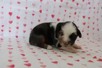 processed/35be54df-213f-433d-8ea8-a6dbd4ad0b95/listing/76238c04-54d2-492b-84a1-4fa699e7bdfa/9ecc72e5-da5f-4da5-bdd5-0fd57ab33e19