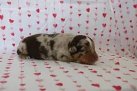 processed/35be54df-213f-433d-8ea8-a6dbd4ad0b95/listing/a40f2db9-381f-4709-a95d-61df9d194e65/0fa1062e-789a-47be-9c21-d6ac72c8400f