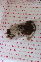 processed/35be54df-213f-433d-8ea8-a6dbd4ad0b95/listing/a40f2db9-381f-4709-a95d-61df9d194e65/4cf30943-ff48-4278-b83f-3122d0d5146e