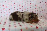 processed/35be54df-213f-433d-8ea8-a6dbd4ad0b95/listing/a40f2db9-381f-4709-a95d-61df9d194e65/97368461-131c-4287-a69e-8cbdec642294