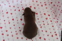 processed/35be54df-213f-433d-8ea8-a6dbd4ad0b95/listing/cbfff7b4-f43a-4d7a-9c4d-eb9b2cdce15c/25cf9b7a-87e1-4a79-9662-7e005f3b2652