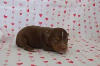 processed/35be54df-213f-433d-8ea8-a6dbd4ad0b95/listing/cbfff7b4-f43a-4d7a-9c4d-eb9b2cdce15c/f9351194-8667-4e36-b65e-e2fc41a4d67c