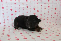 processed/35be54df-213f-433d-8ea8-a6dbd4ad0b95/listing/ed30e5da-8f32-4c99-9e81-93a83b444cef/19f2ae0d-b9e6-4de2-aea8-408fcd2a8b95