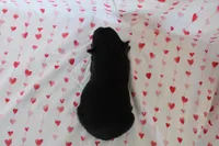 processed/35be54df-213f-433d-8ea8-a6dbd4ad0b95/listing/ed30e5da-8f32-4c99-9e81-93a83b444cef/b4c0ce8c-9dee-4fcd-b6a3-a51a312f99b6