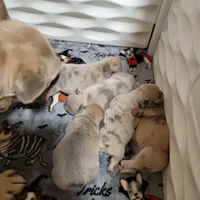 processed/35be654d-6d64-47f2-af19-e50af8eef238/facility/2cee47ef-097b-46e6-9197-ff52ad2e72b0